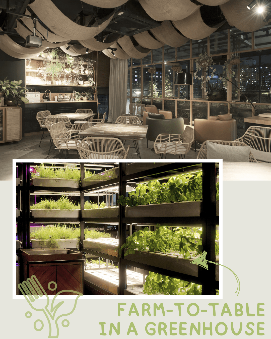 The Farm Foodcraft By Seshan Design: Garden-to-Plate | Buildex.my